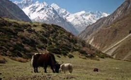 "Eco-Tourism: Exploring Nature Responsibly"